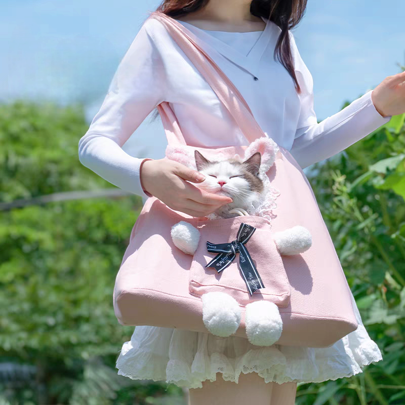 small dog and cat carrying bag