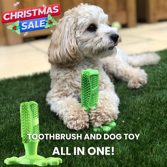 SweetPetStory® Toothbrush Toy