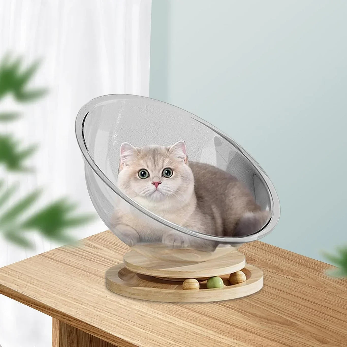 Space Capsule Cat Bed Transparnt Cat House