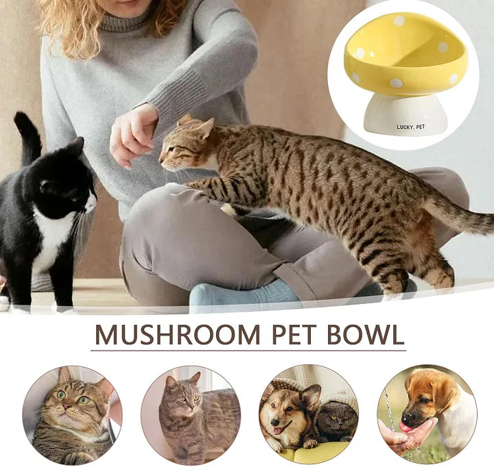 Cat Bowls Raised Cat Food Bowls