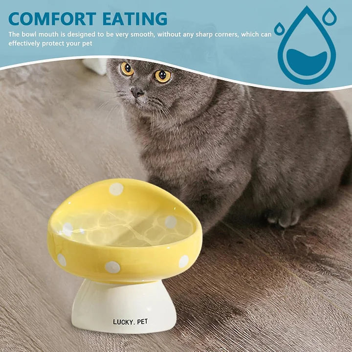 Cat Bowls Raised Cat Food Bowls