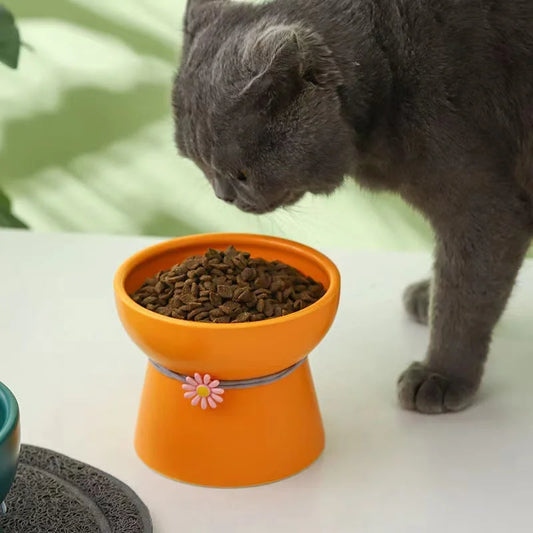 Ceramic Bowl for cat