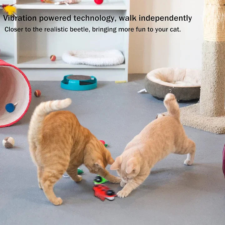 Electronic Cat Toy Cat Interactive Toys for Indoor