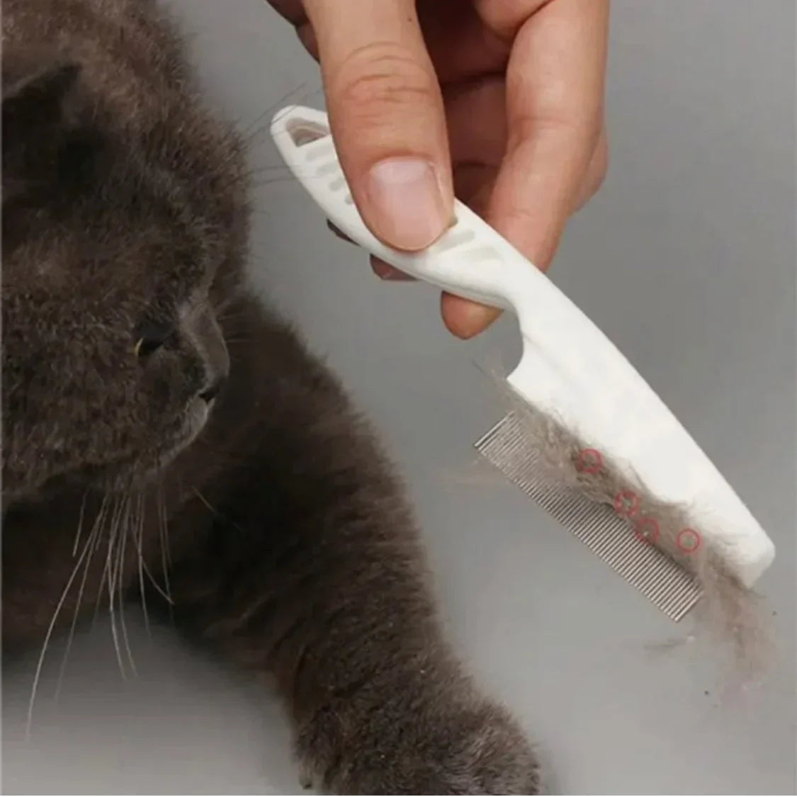 Pet Flea Comb