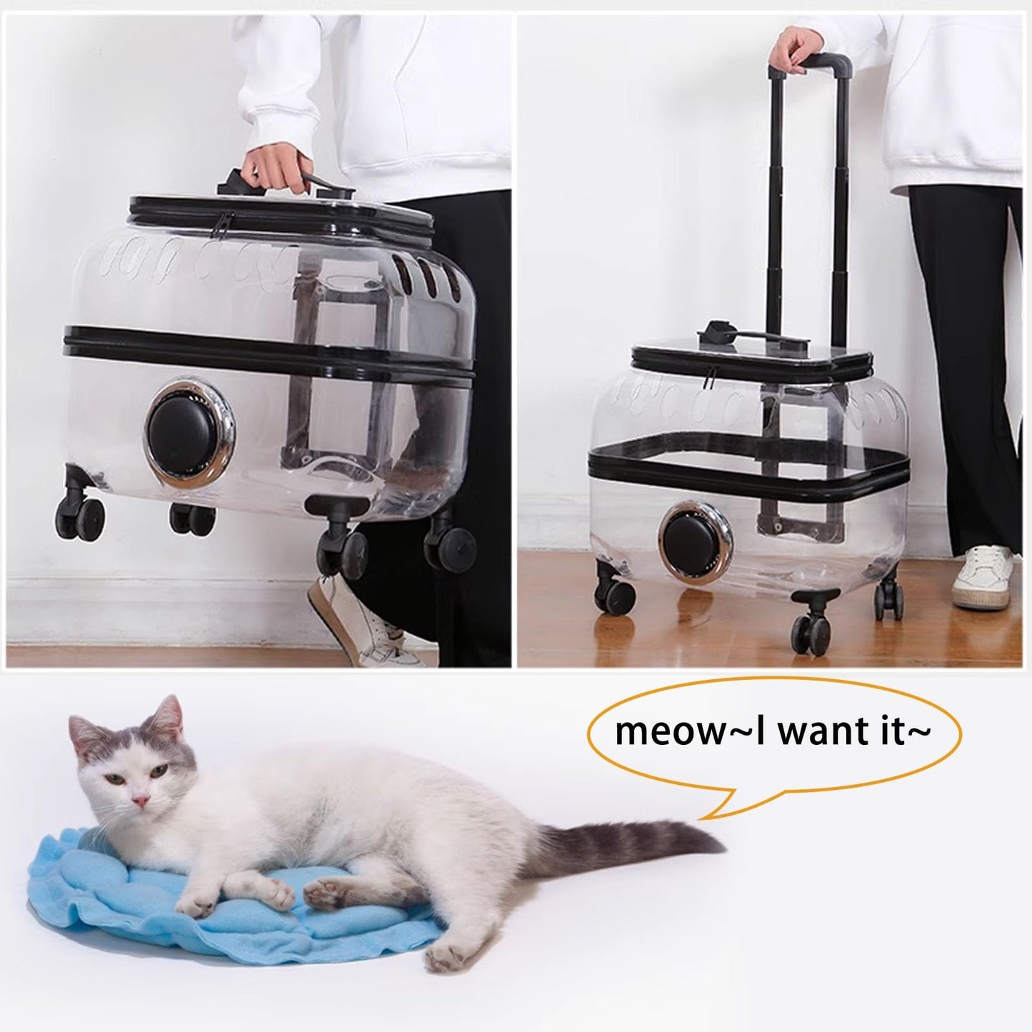 SweetPetStory® Transparent Pet Travel Trolley