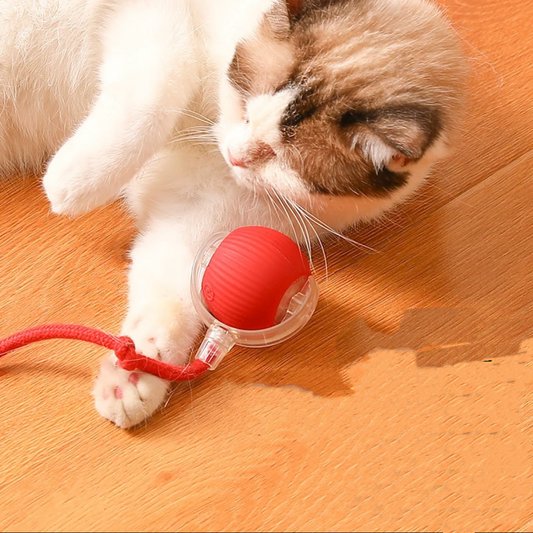 Rotating Smart Ball Cat Toy